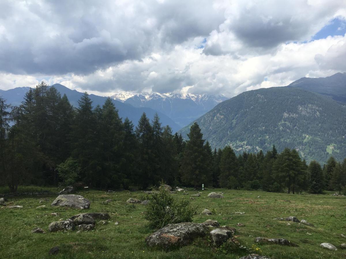 Apartmán Sul Cucuzzolo Marilleva Exteriér fotografie